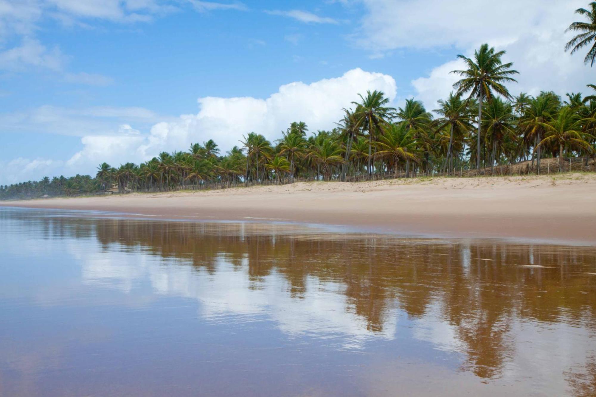 帕拉迪姆皇宫度假大酒店&Spa水疗中心- 全包 因巴塞 外观 照片 Beach in Cabo de la Vela